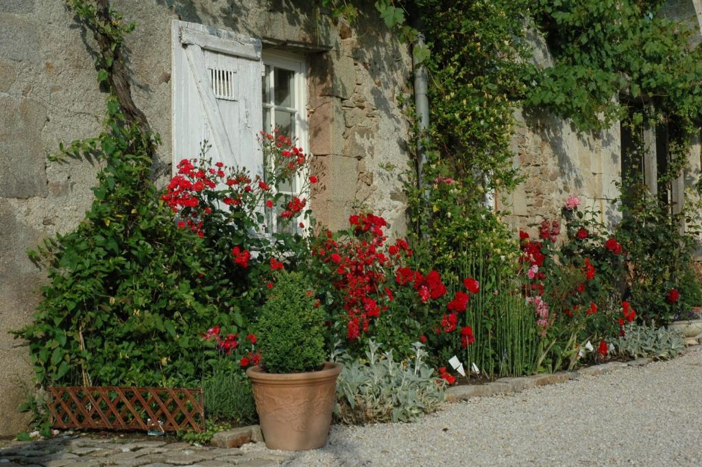Bed and Breakfast Chateau De L'Oiseliniere Gorges  Exteriér fotografie