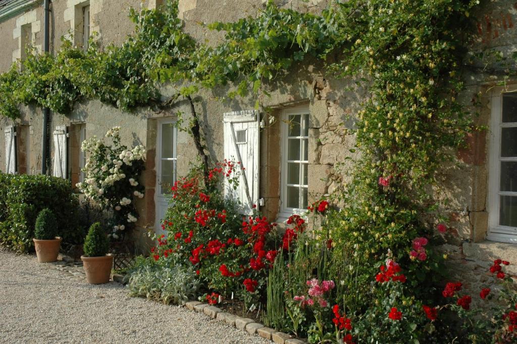 Bed and Breakfast Chateau De L'Oiseliniere Gorges  Exteriér fotografie